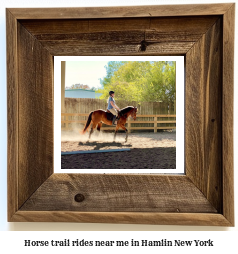 horse trail rides near me in Hamlin, New York